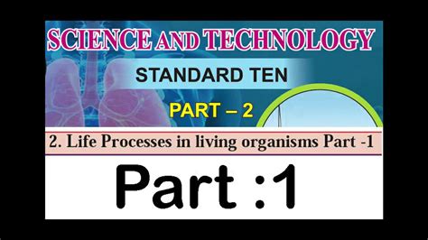 Life Processes In Living Organisms Part 1 Youtube