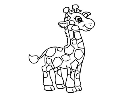 20 Cute Giraffe Coloring Pages For Your Toddlers Gira
