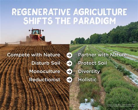 Regenerative Agriculture Going Back To Basics Agriculture