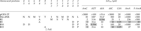 mutations in dm dnk that sensitize transformed ky895 to nucleoside download table