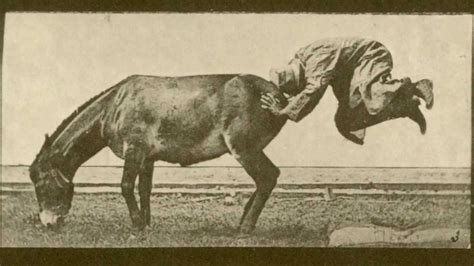 1886 Edward Muybridge Animal Locomotion 663 Mule A Retractory