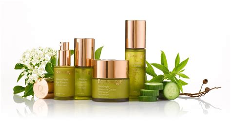 Eco Cert Anti Aging Cosmetics Skin Care Anti Aging Cosmetics