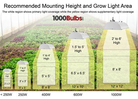 What is the best lighting for a workshop? Grow Light Basics, Part 1 — 1000Bulbs.com Blog