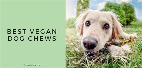 7 Best Vegan Dog Chews Thrive Cuisine Vegan Guides