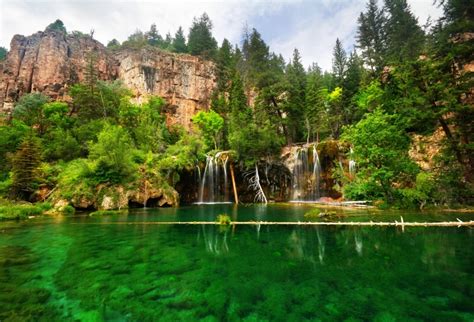 Laeacco Green Forest Cilff Waterfall Lake Landscape