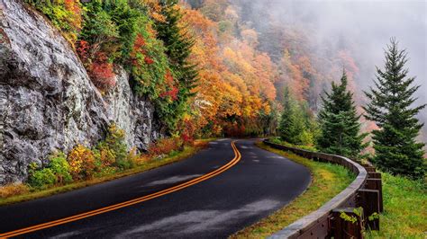 Fall Mountain Road Backiee