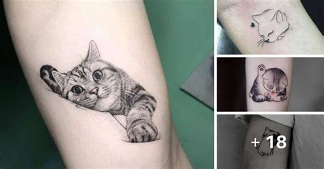 21 Tatuagens femininas de gatos ideias de design e tendências