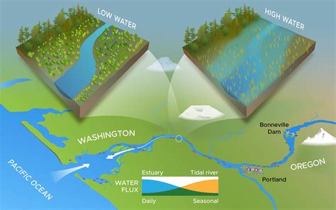 A Watershed Study For Wetland Restoration Feature Pnnl