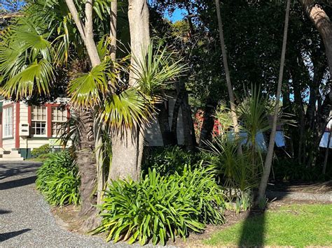11 Reviews Of Williams House Public Library Library In Paihia Northland