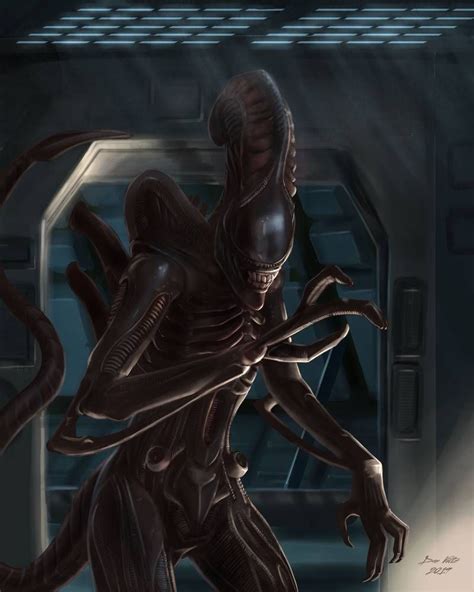 Xenomorph Alien Fan Art By Djvoltz Xenomorph Xenomorph Types