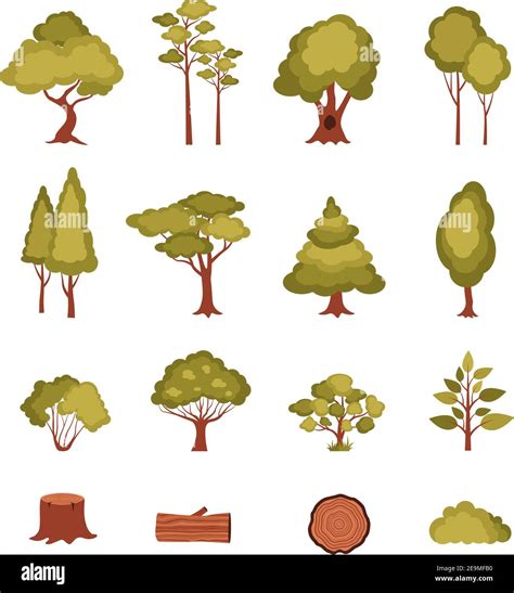 Forest Elements Set With Trees Bushes Plants Log And Stump Isolated