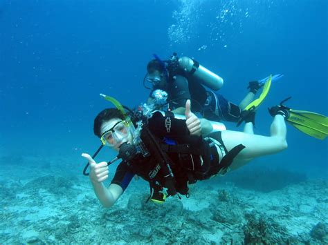 Koh Tao Scuba Diving Green Rock Koh Nang Yuan Scuba Diving In Thailand