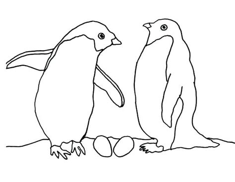 Arctic Animals Coloring Pages For Preschoolers At