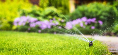 You can tell if your lawn is not getting enough regular moisture by digging your fingers into the soil a few inches. How Often Should I Water My Lawn in the Summer?