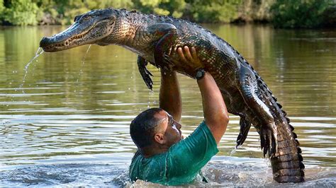 Man Does Dirty Dancing Moves With A Gator Youtube