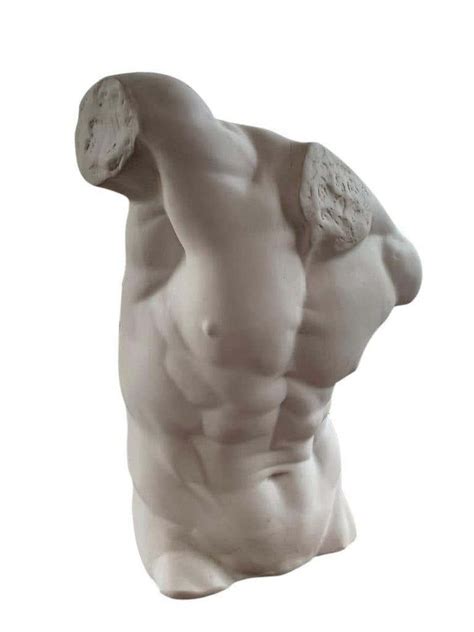 Male Torso Statue 20th Century For Sale At Pamono