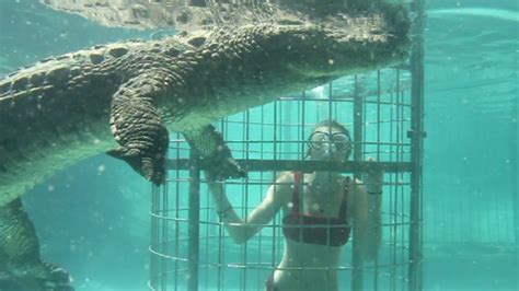 Crocodile Cage Diving Youtube