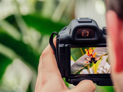 Cara Memegang Kamera Dengan Baik Dan Benar Bagi Hal Baik