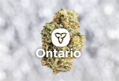 Ontario premier doug ford says the province will lock down for 28 days as of saturday to try to doug ford walked us into this lockdown with eyes wide open. Ontario Permits Cannabis Delivery During Lockdown