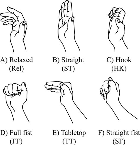 Relaxed Fingers And Finger Tendon Gliding Positions A Relaxed B Download Scientific