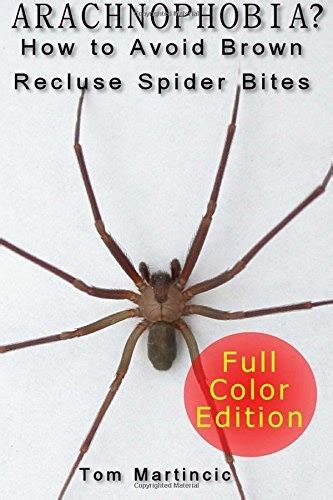 Arachnophobia How To Avoid Brown Recluse Spider Bites Tom Martincic