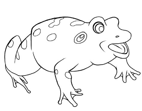 See more ideas about coloring pages, frog coloring pages, coloring books. Frogs coloring pages to download and print for free