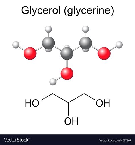 Chemical Formula And Model Of Glycerol Molecule Vector Image
