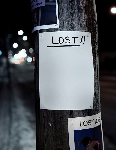 Lost Post Stock Photos Pictures And Royalty Free Images Istock