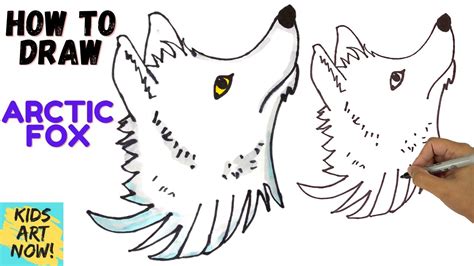 How To Draw An Arctic Fox Realistic Easy Step By Step Drawing Youtube
