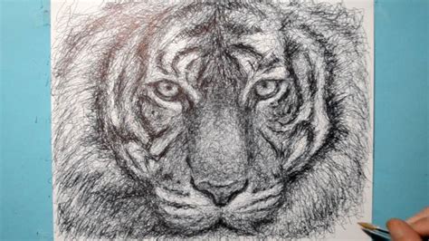 Tiger Drawing Expressive Ballpoint Pen Technique Scribble Art