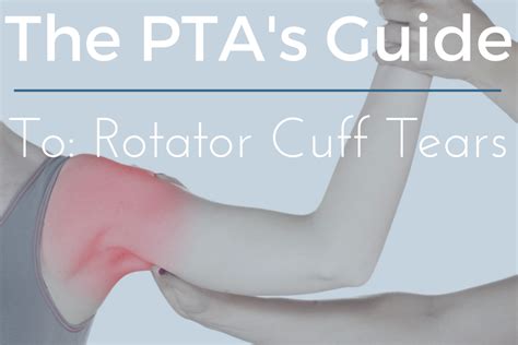The Complete Rotator Cuff Tear Guide For Physical Therapy Assistants 2022