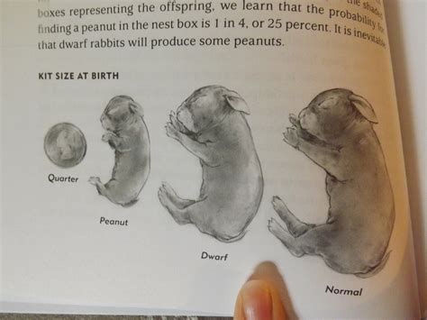 There are visible color difference in appearance between the male and female bluegills. Wild Tree Tops: Rabbit Book