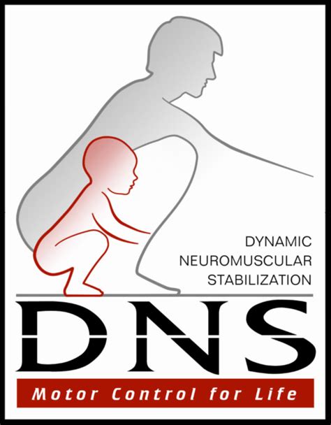 Dr Jon Wilhelm Of Pro Chiropractic Successfully Completes Dns A Training Pro Chiro