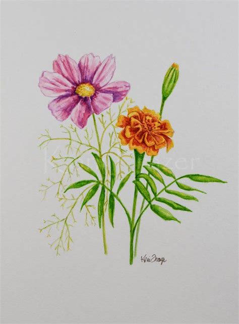 You've probably heard of birthstones, but did you know you have birth flowers, depending on the month in which you were born? Cosmos and marigold, October birthday flower, original ...