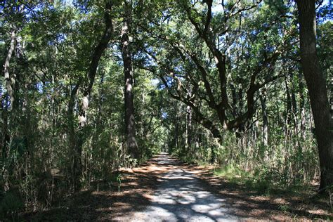 Skidaway Island State Park Canopic Flickr