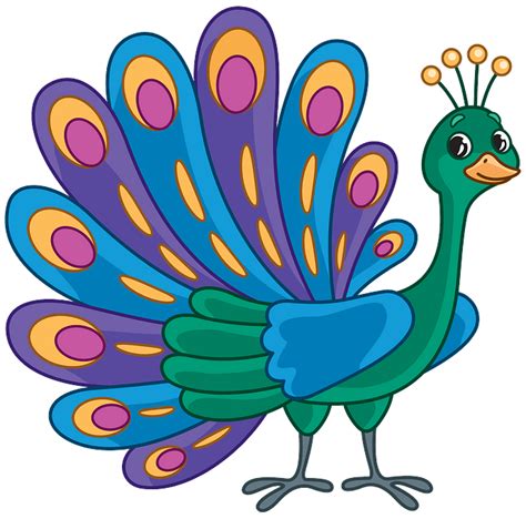 peacock clipart pictures 10 free cliparts download images on clipground 2024