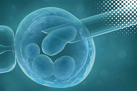 Pre Implantation Genetic Testing Pgt Now Fertility