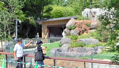 Giant Pandas Get New Enclosure At Tokyos Ueno Zoo To Spur Mating The