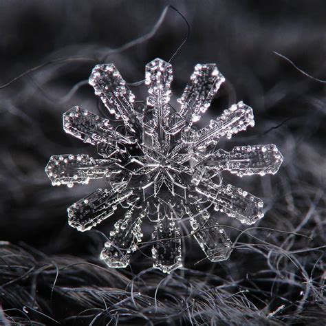 6 Amazing Close Ups Of Individual Snowflakes From This Winter