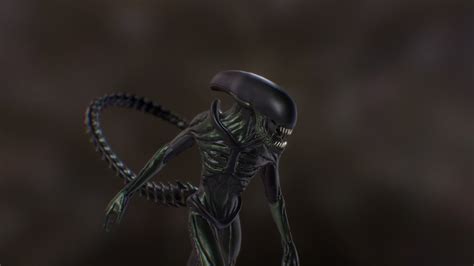 Alien Xenomorph High Detail 3d Model Cgstudio