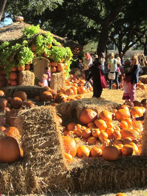 Pumpkin Village At Dallas Arboretum Fall Festival Continues Until