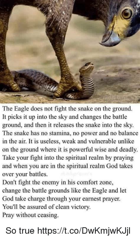 God Memes And True The Eagle Does Not Fight The Snake On The Ground