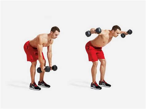 Shoulder Workouts With Dumbbells