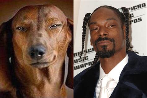 12 Celebrity Snapshots And Their Amazing Canine Look Alikes