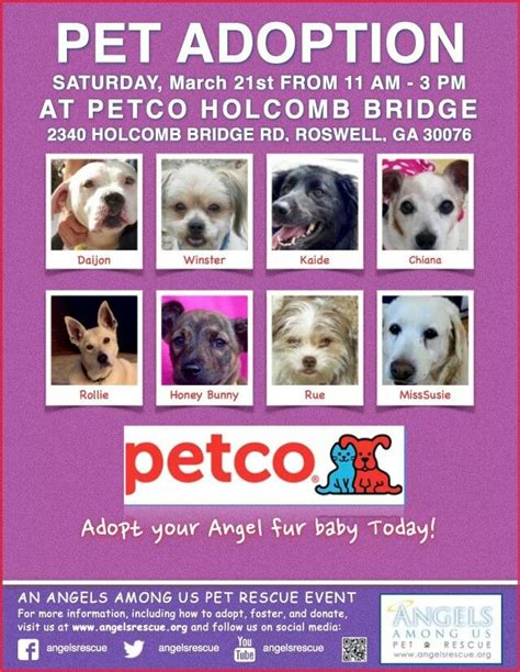 Be sure to check out our special needs dogs too! Petco | Pet adoption, Adoption, Animal rescue