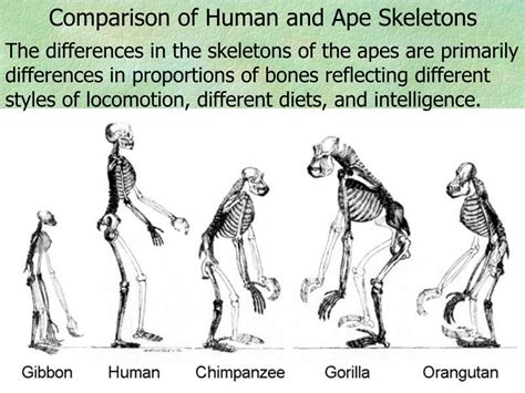 Ppt Chapter 7 Powerpoint Presentation Free Download Id4391538