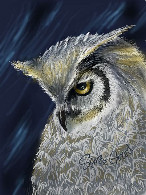 The Top 10 Drawings from the Bird Drawing Challenge - Create + Discover ...
