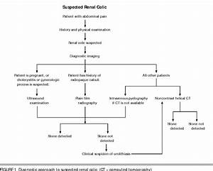 Diagnosis And Initial Management Of Kidney Stones Semantic Scholar