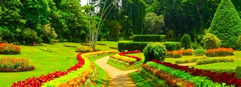 3 Gardens You Must Visit In Sri Lanka Love Sri Lanka
