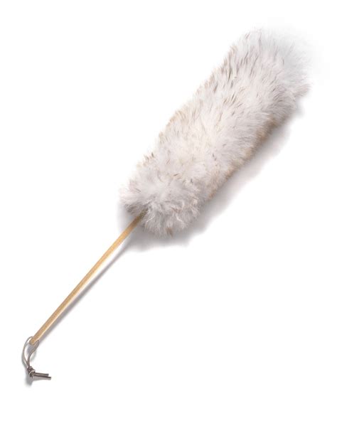 10 Dusting Tools You Need To Buy Now Because We All Know That Duster